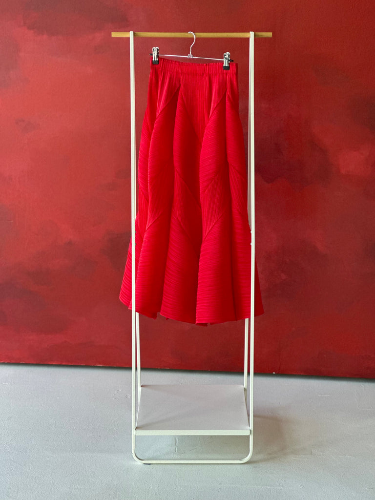 Two-Piece Accordion Pleat Skirt Set